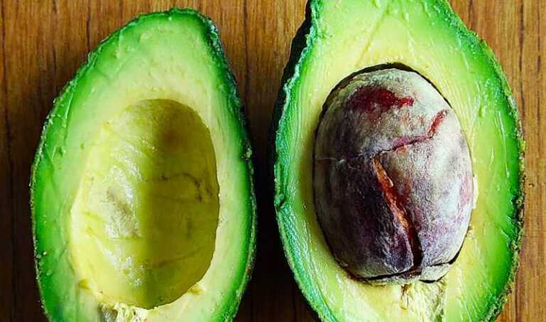 palta