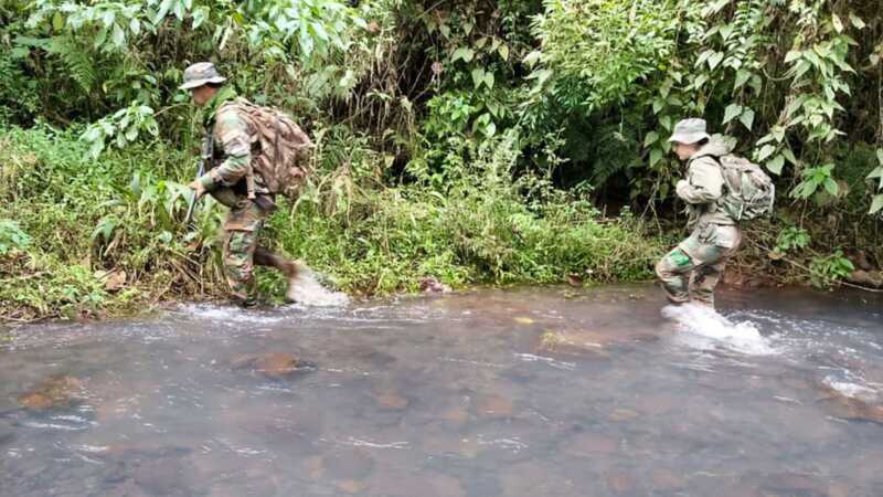 Reserva de Biosfera Yabotí: secuestran armas, vehículos y desmantelan campamentos de cazadores furtivos 3 WhatsApp Image 2025 08 13 at 10.13.51