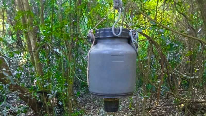 Reserva de Biosfera Yabotí: secuestran armas, vehículos y desmantelan campamentos de cazadores furtivos 1 WhatsApp Image 2025 08 13 at 10.16.44