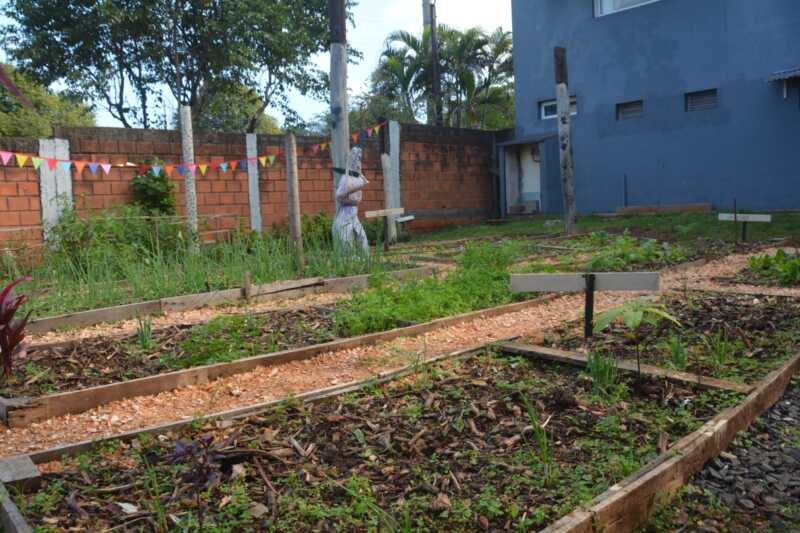 huerta terapeutica 2