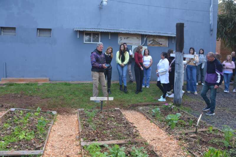 huerta terapeutica 9