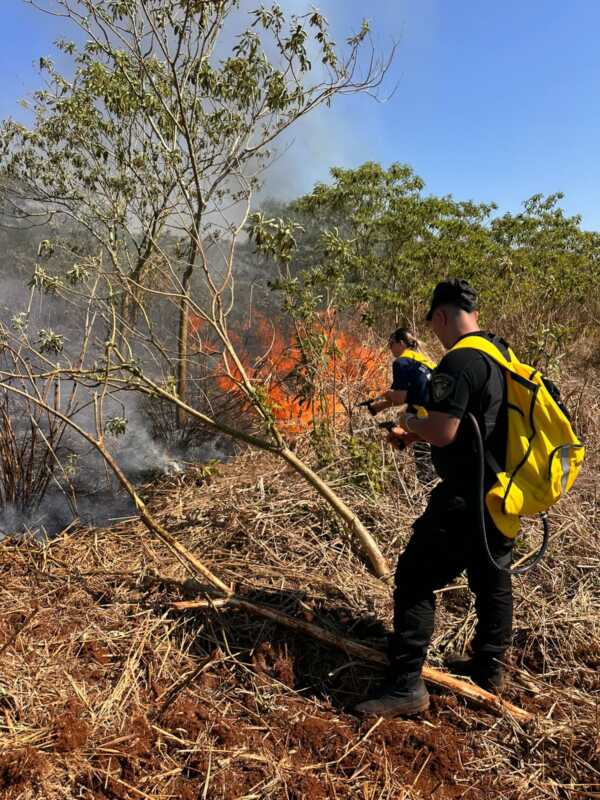 incendios 2
