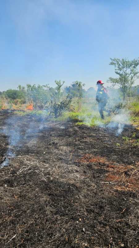 incendios 5