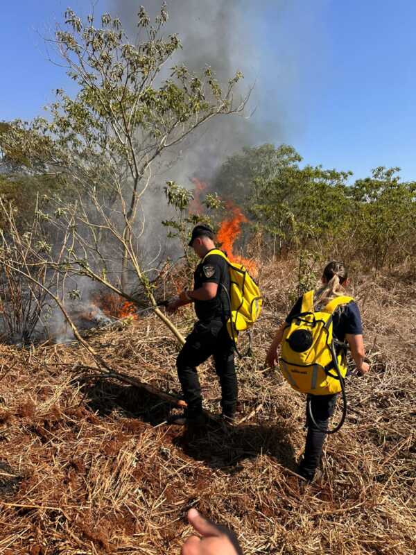 incendios 7