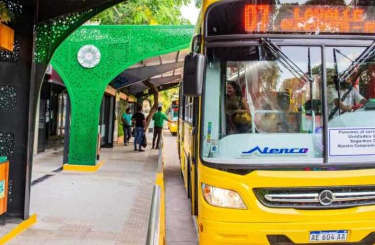 colectivo