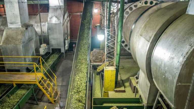 industria misiones
