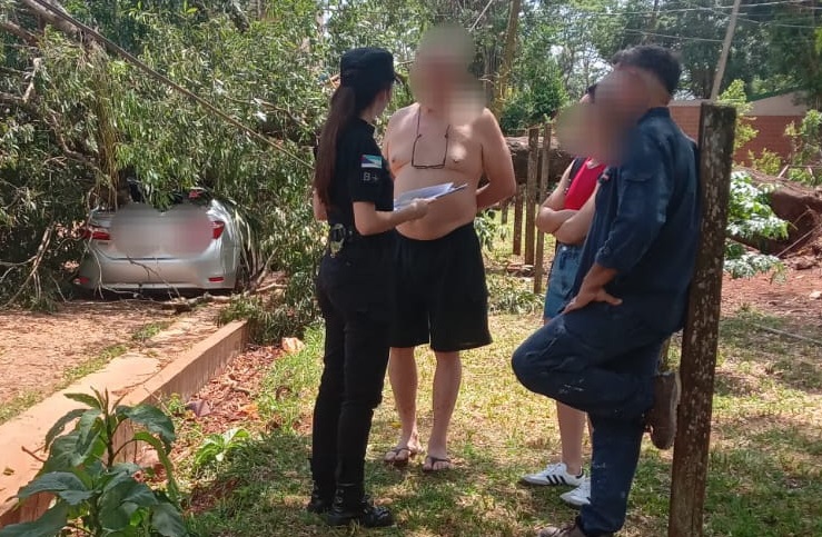 Noticias 3 arbol caido