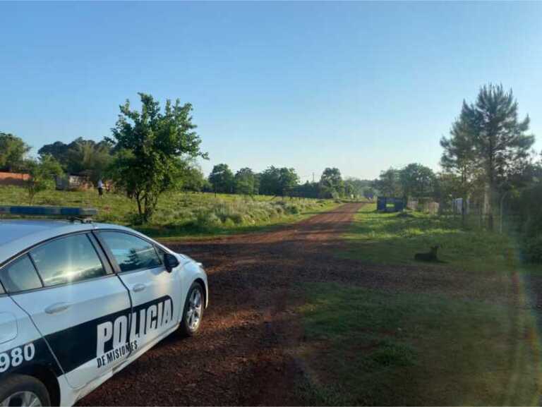Un niño de 7 años fue atacado por dos perros pitbull en el barrio Santa Clara de Posadas