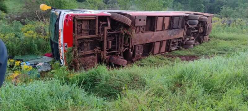 colectivo