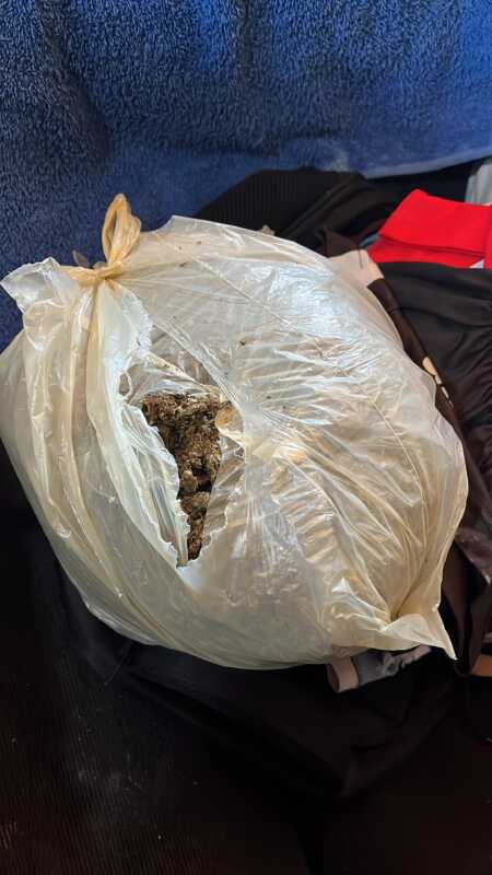 Desarticularon búnker narco en Posadas: siete detenidos y marihuana con un valor estimado de $35 millones 2 marihuana incautada 4