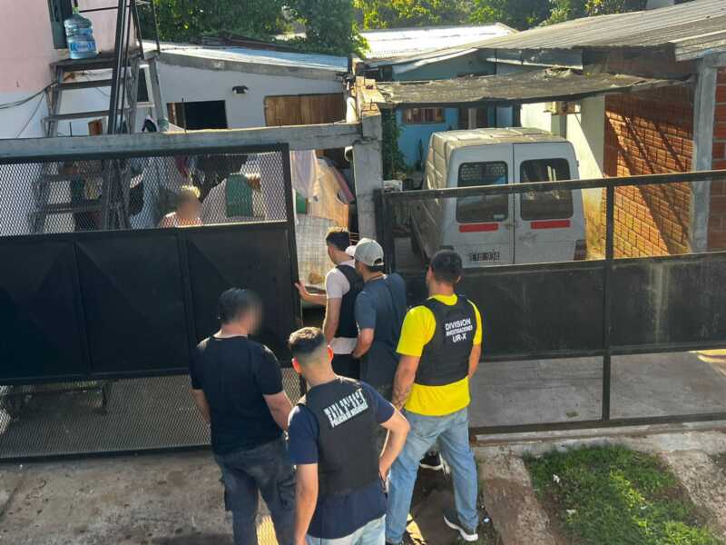 Desarticularon búnker narco en Posadas: siete detenidos y marihuana con un valor estimado de $35 millones 1 marihuana incautada 5