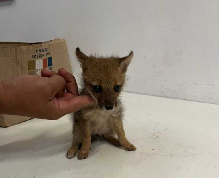 93bdfb26 2016 4225 8943 39462ad34139