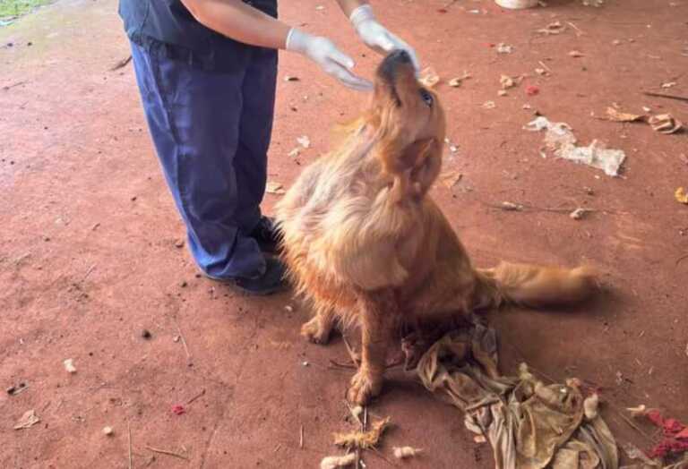 WhatsApp Image 2025 11 15 at 19.35.04