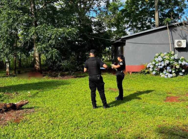 a51b2042 801f 4791 a9b6 77face23e4f2 1