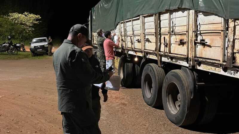 Intensifican los controles al transporte forestal en rutas de Apóstoles y San José 1 controles en rutas 1