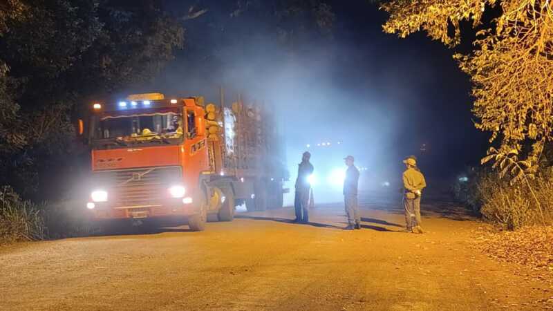 Intensifican los controles al transporte forestal en rutas de Apóstoles y San José 3 controles en rutas 3
