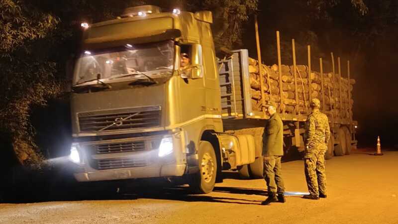 Intensifican los controles al transporte forestal en rutas de Apóstoles y San José 5 controles en rutas 5