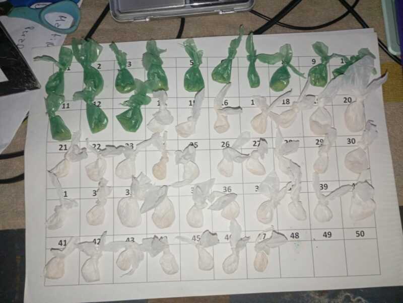 detenido puerto rico 2