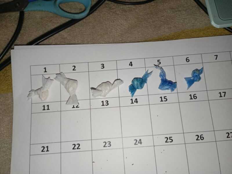 detenido puerto rico 3