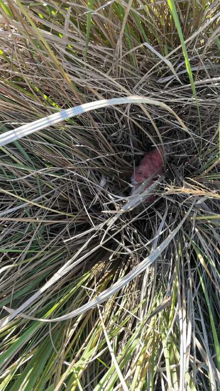 detenidos en profundidad 3