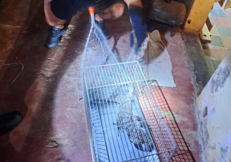 e0a5bd2e 9118 4454 b72c 0ca5725291a0