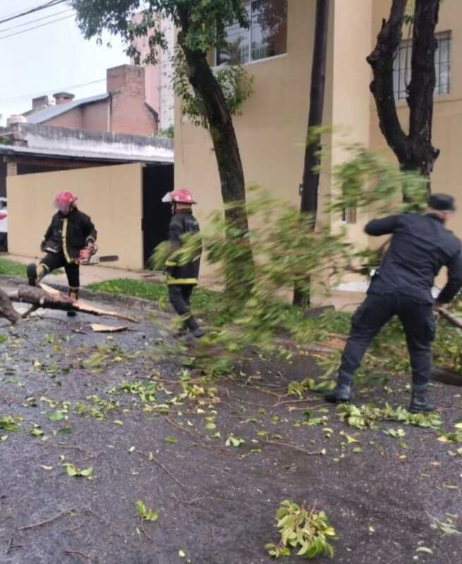 Tormenta en Misiones: caída de árboles, cables sueltos y daños en viviendas 1 fa7903d3 f8dd 4aa7 b674 f629de515e43