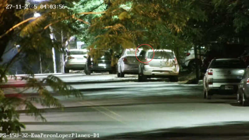 ladrones detenidos 4