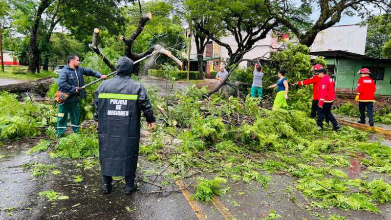 temporal posadas domingo 8