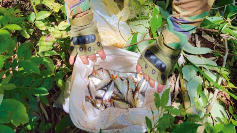 veda pesca control 4