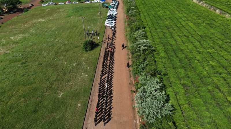 0509e24f bb02 480a a992 e31188495a3a