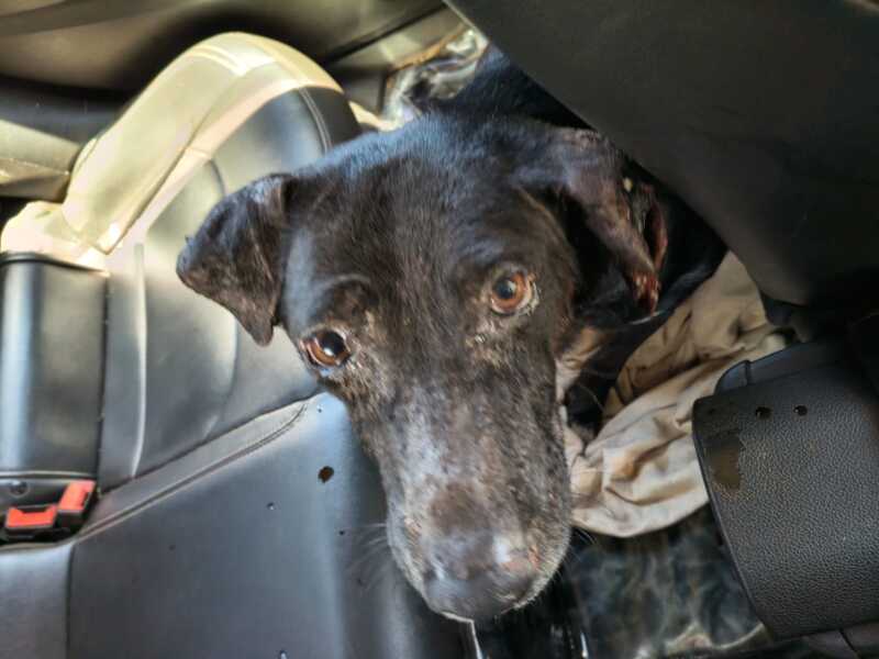 78c910a9 988a 42e6 b159 f7070896d4f4