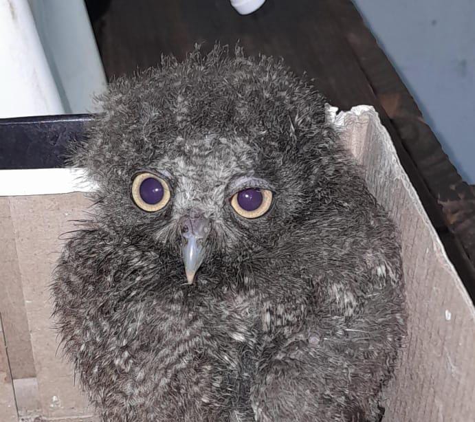 792d2b86 e060 429e 93c4 22130bc475a9