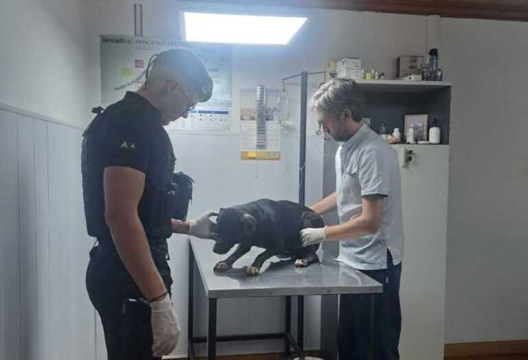 88395d5a b52d 4937 a644 ec27e8b5e4ab