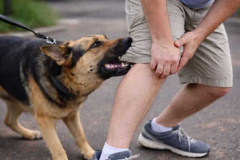 ChatGPT Image 31 dic 2025 09 04 32 a.m