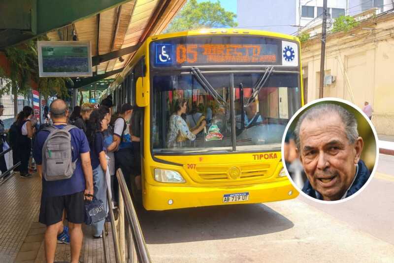 colectivos stelatto posadas