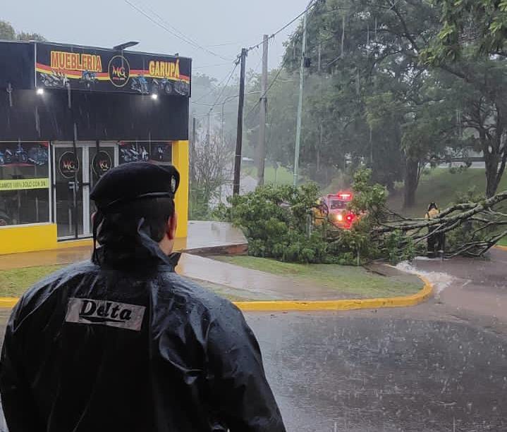 Tormenta causó desbordes de arroyos con múltiples intervenciones en Misiones 3 d296b02d 5ecf 4b55 b07f 5033c9af6506