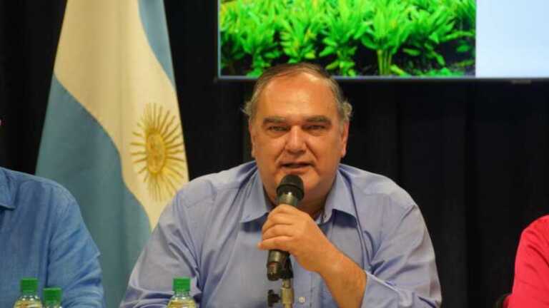 Roque-Gervasoni-IMAC