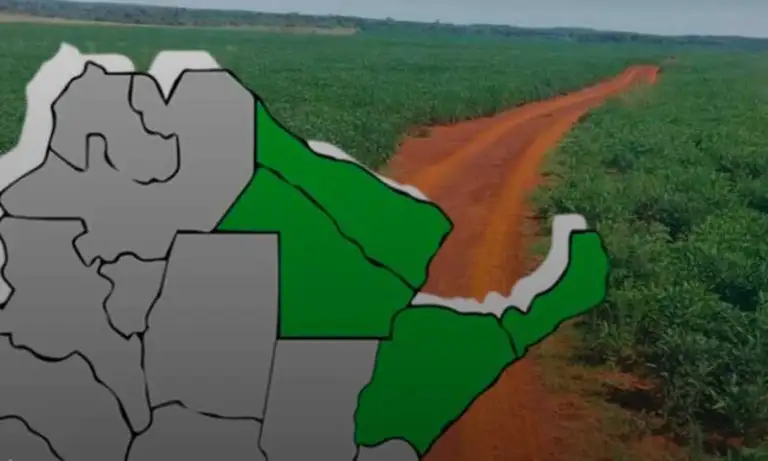 WhatsApp Image 2026 01 16 at 18.45.27