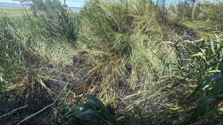 incendio oeste posadas 1
