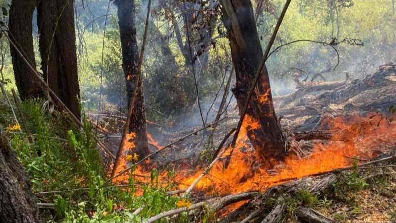 BRIGADISTAS MISIONEROS 4