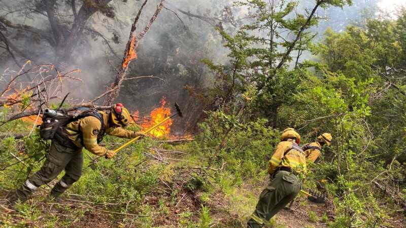 BRIGADISTAS MISIONEROS 5
