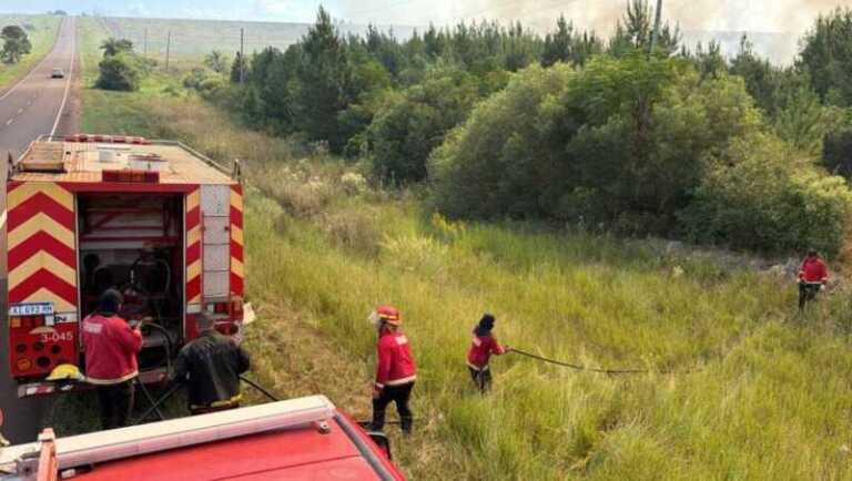 Captura de pantalla 2026 03 20 171105