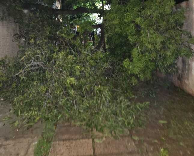 Captura de pantalla 2026 03 22 122719