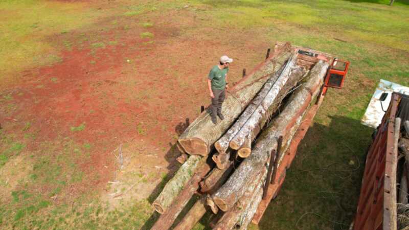 MADERA NATIVA 4