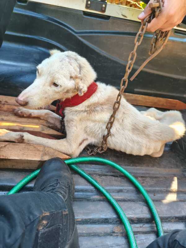 WhatsApp Image 2026 03 18 at 19.29.18