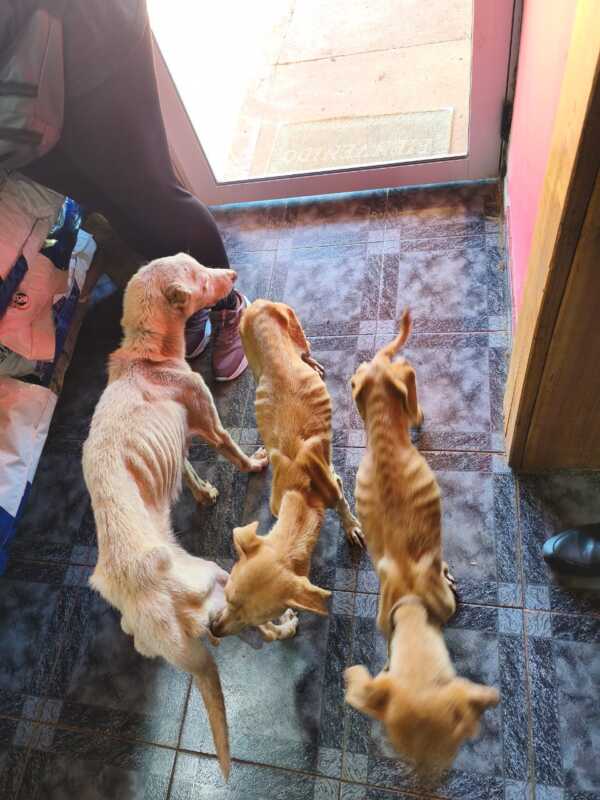 WhatsApp Image 2026 03 18 at 19.29.19