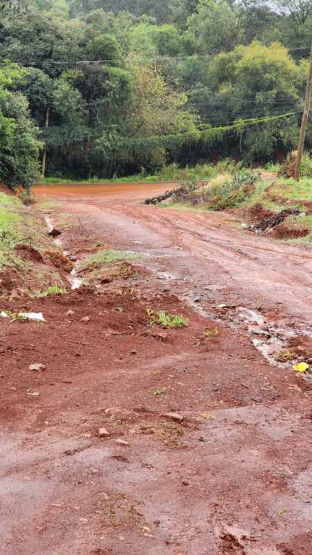 WhatsApp Image 2026 03 20 at 10.12.51 1