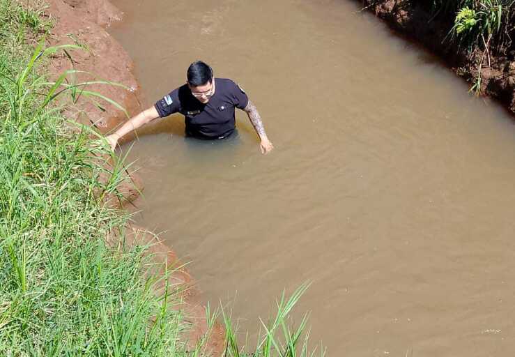 Captura de pantalla 2026 04 01 192207