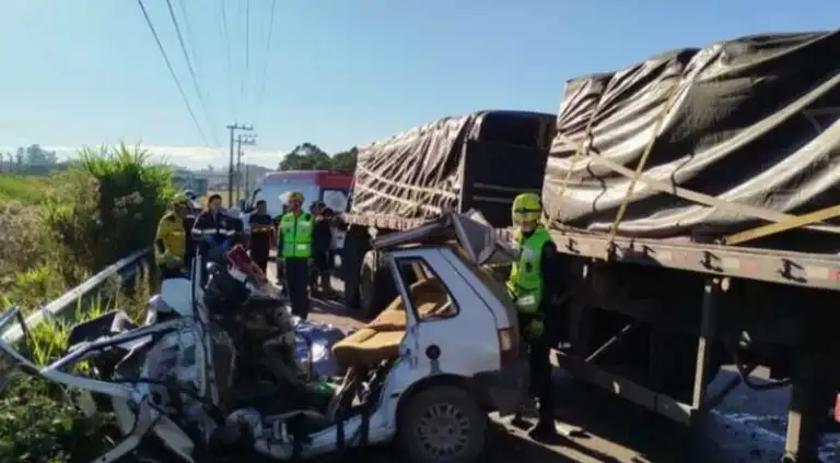 Brasil: dos argentinos, madre e hijo, fallecieron tras impactar de frente contra un camión