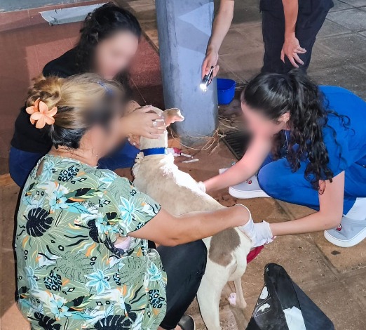 d2421511 0497 4475 9a43 7447b0f0c69f